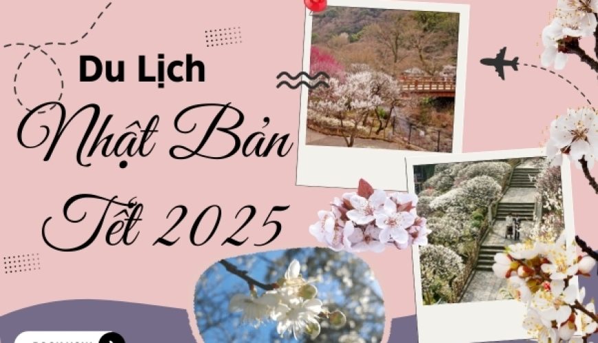 Tết 2025 Du Lịch Nhật Bản: Ngắm Hoa Mơ Đầu Xuân